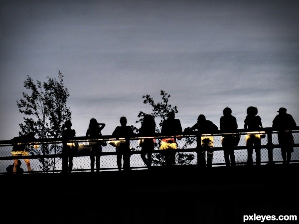 the High Line Park